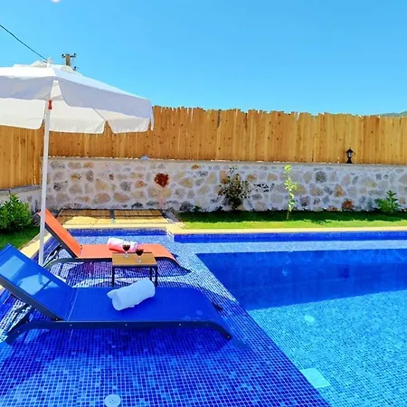Zeytin Tanesi- Kalkan'da Muhafazakar Jakuzili Feriehus *