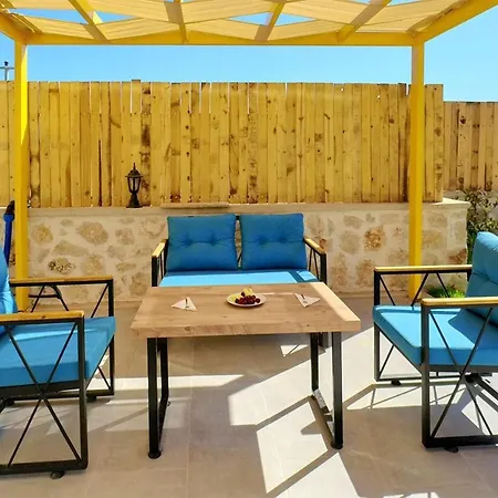 Zeytin Tanesi- Kalkan'da Muhafazakar Jakuzili * Fethiye